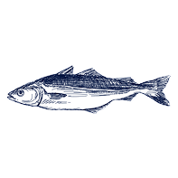 Fresh wild fish - Sustainable seafood delivery Sea Story